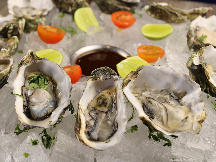 Fresh Oysters